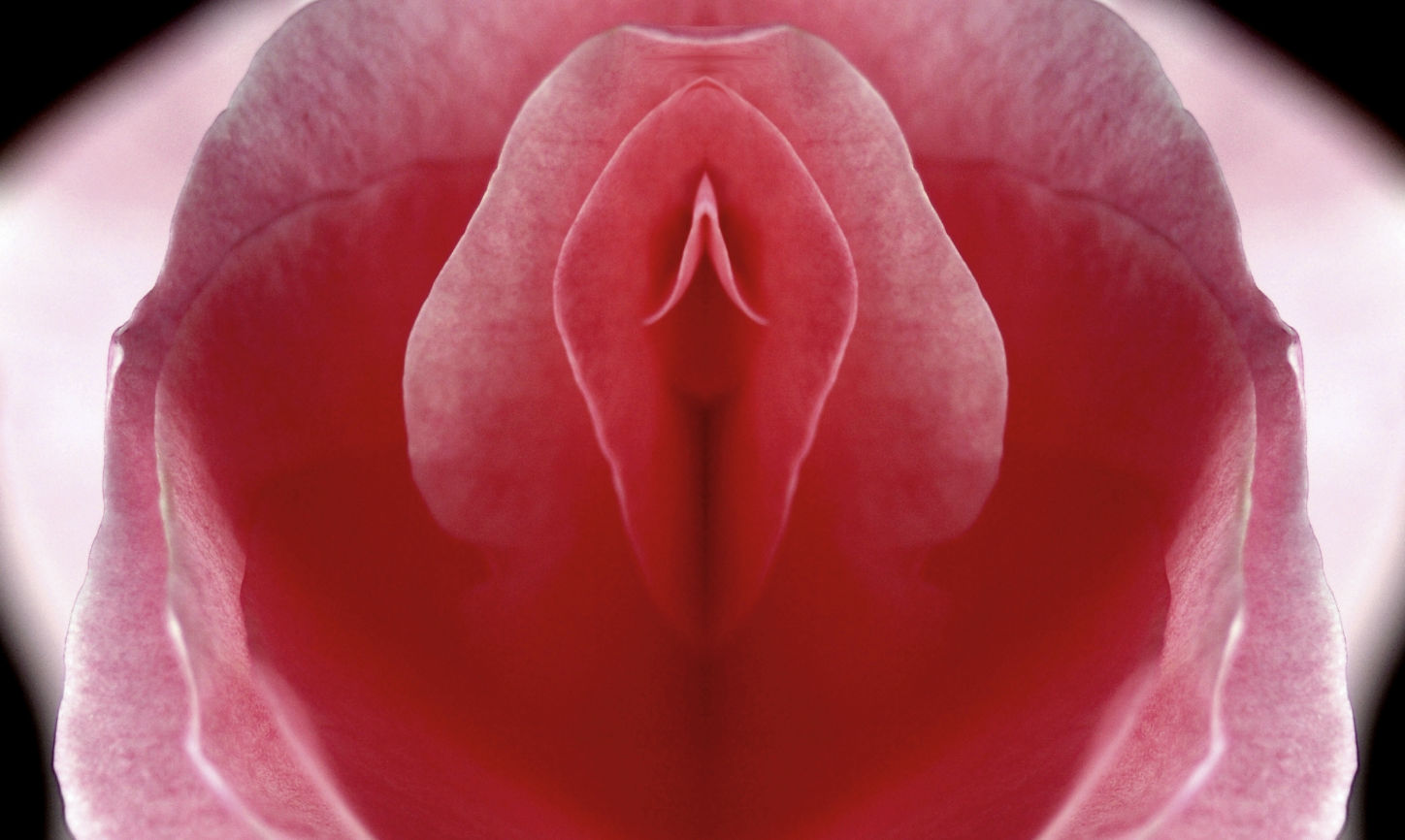 V Day stands for Vagina Pampering Day.